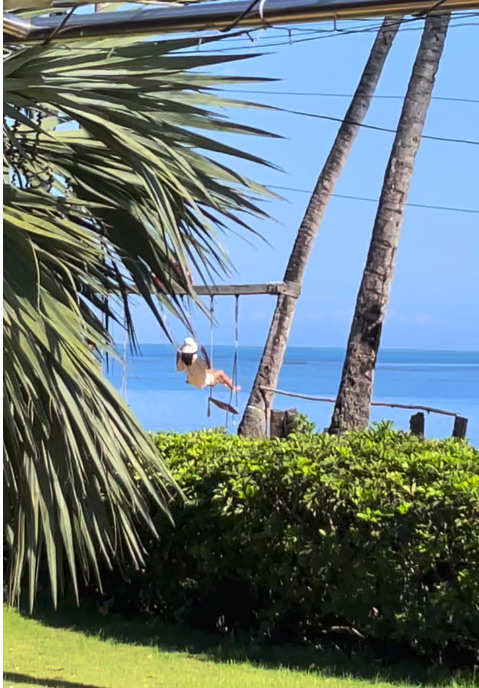 girl on a swing overlooking the ocean and swingset surrounded by palms and other green plants during a travel adventure to the dominican republic